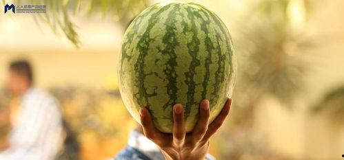 吃瓜大瓜事件,揭秘网络舆论狂欢背后的真相